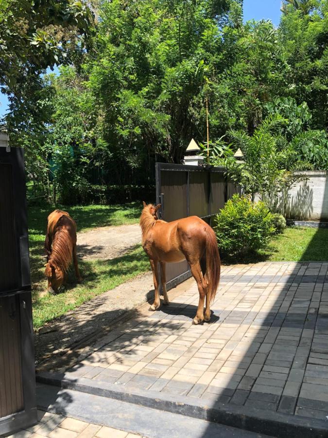 Lanka Villa ميريسا المظهر الخارجي الصورة