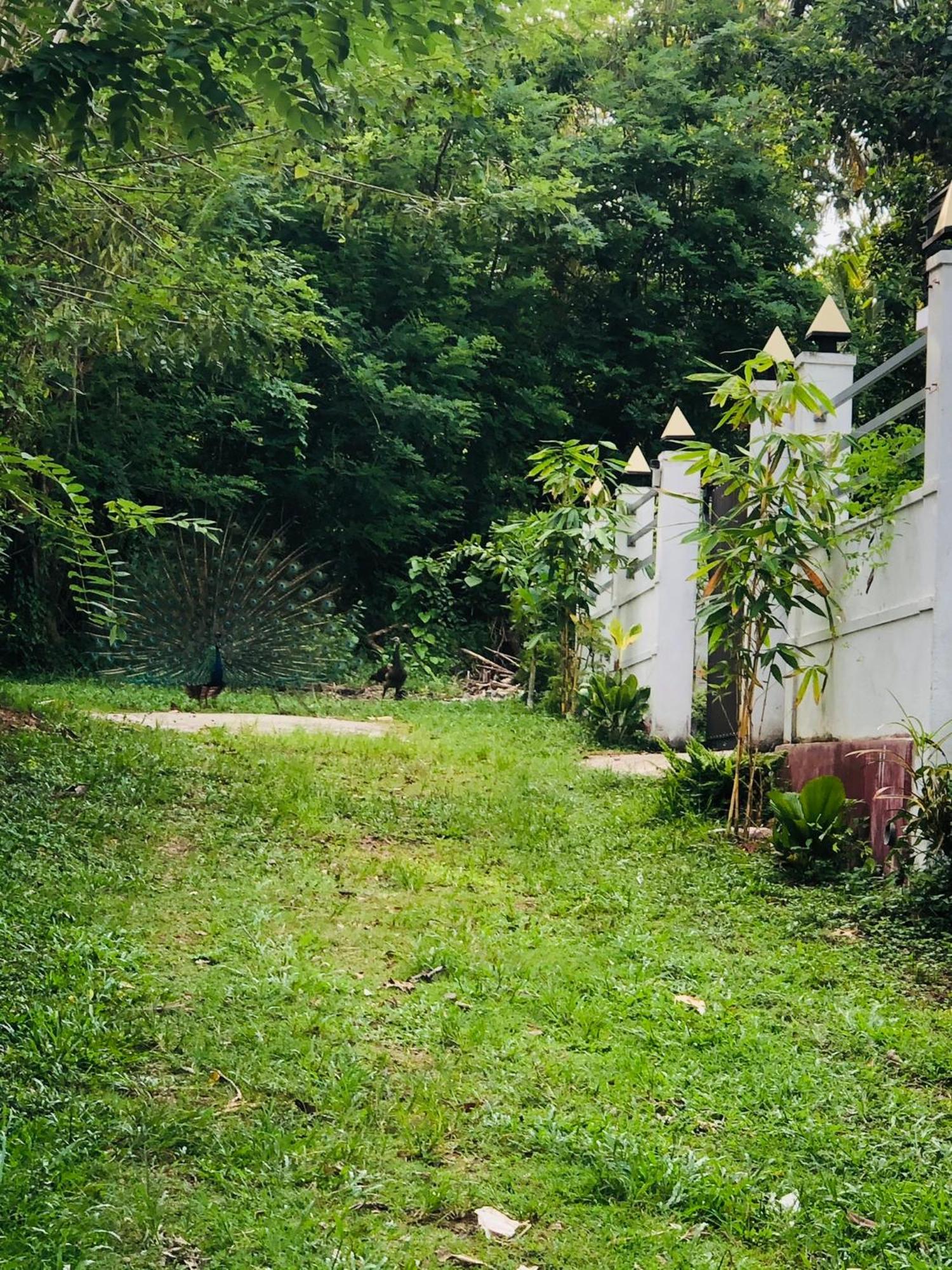 Lanka Villa ميريسا المظهر الخارجي الصورة