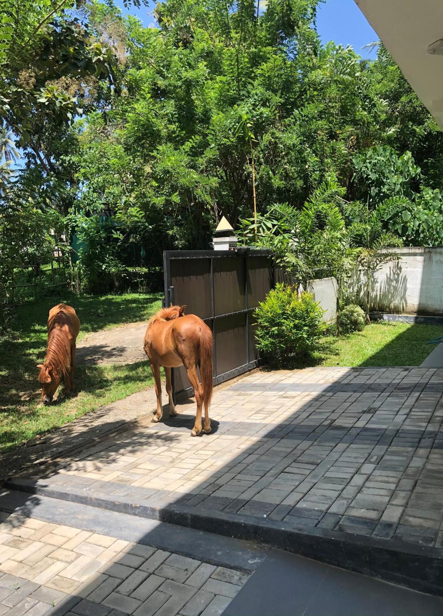 Lanka Villa ميريسا المظهر الخارجي الصورة